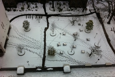 [Gakushuin in Snow]